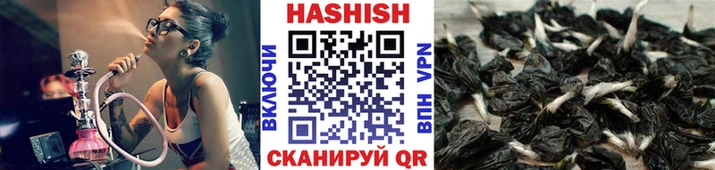 ГАШ Cannabis  Сургут 