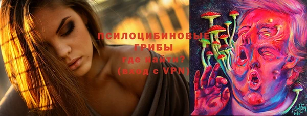 дмт Алексеевка