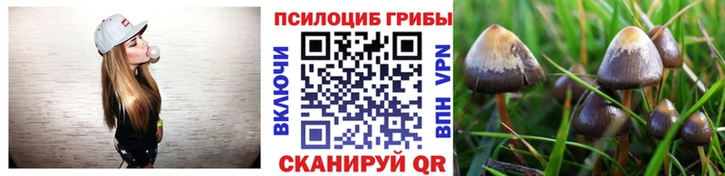Псилоцибиновые грибы мухоморы закладки Сургут