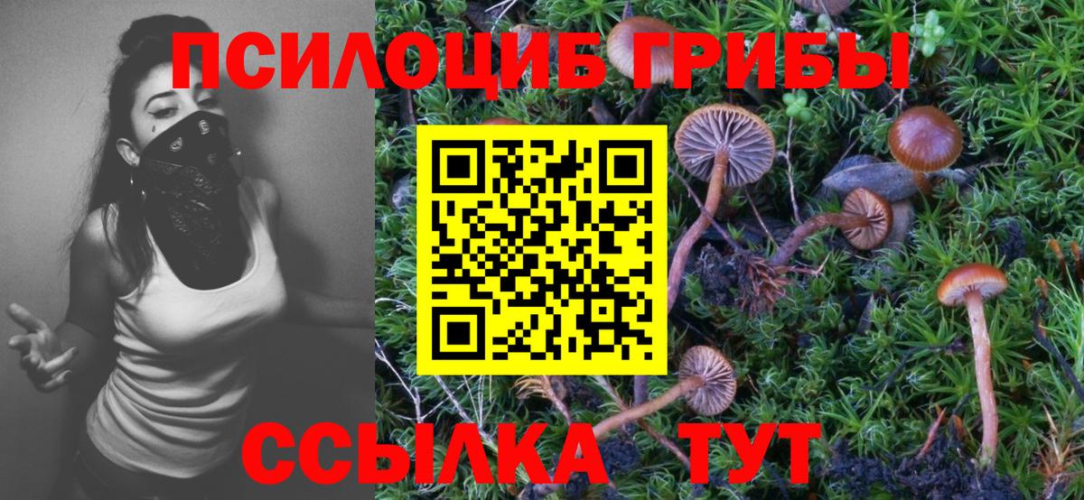 Галлюциногенные грибы прущие грибы Сургут