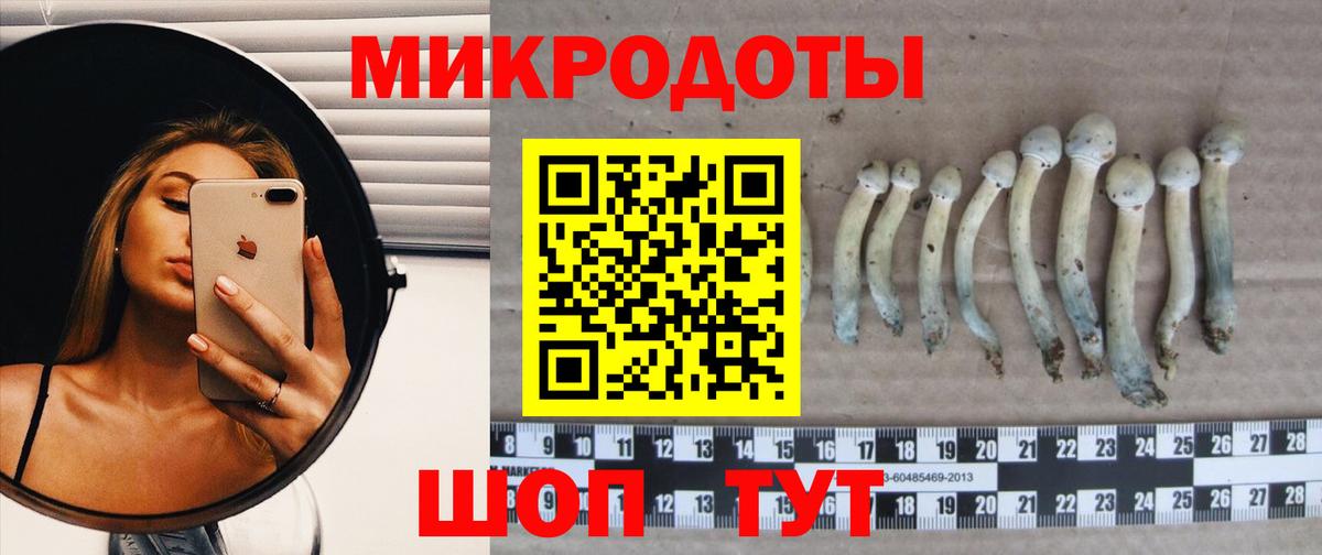 Псилоцибиновые грибы мухоморы  Вход с VPN  Сургут 